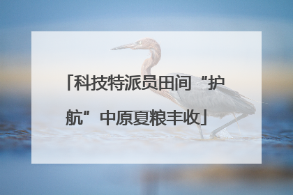 科技特派员田间“护航”中原夏粮丰收