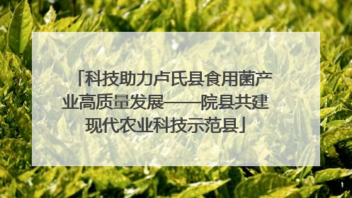 科技助力卢氏县食用菌产业高质量发展——院县共建现代农业科技示范县