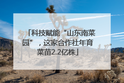 科技赋能“山东南菜园”，这家合作社年育菜苗2.2亿株