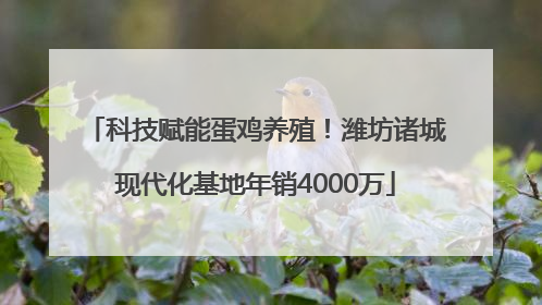 科技赋能蛋鸡养殖！潍坊诸城现代化基地年销4000万