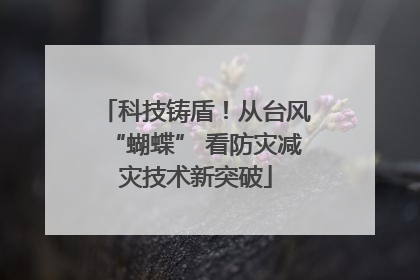 科技铸盾！从台风“蝴蝶” 看防灾减灾技术新突破