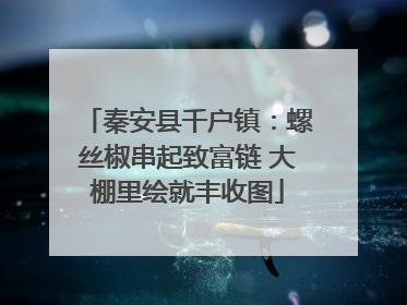 秦安县千户镇：螺丝椒串起致富链 大棚里绘就丰收图