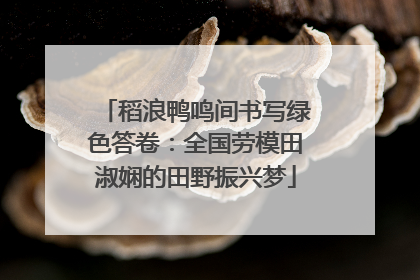 稻浪鸭鸣间书写绿色答卷：全国劳模田淑娴的田野振兴梦