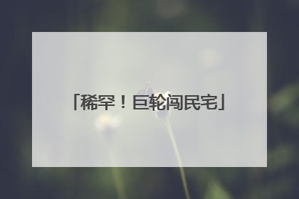 稀罕！巨轮闯民宅