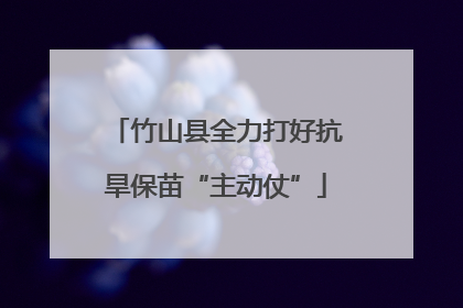 竹山县全力打好抗旱保苗“主动仗”