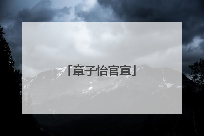 章子怡官宣
