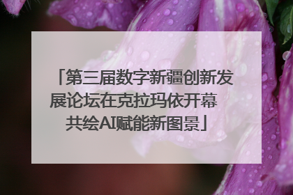 第三届数字新疆创新发展论坛在克拉玛依开幕 共绘AI赋能新图景