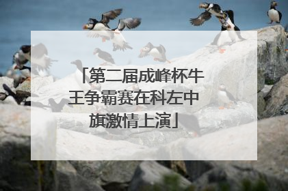 第二届成峰杯牛王争霸赛在科左中旗激情上演