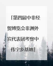 第四届中非经贸博览会非洲外宾代表团考察中伟宁乡基地