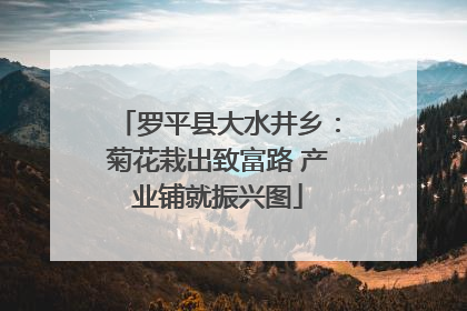 罗平县大水井乡：菊花栽出致富路 产业铺就振兴图