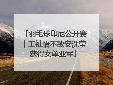 羽毛球印尼公开赛｜王祉怡不敌安洗莹 获得女单亚军