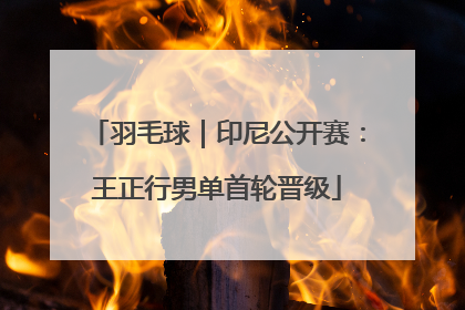 羽毛球｜印尼公开赛：王正行男单首轮晋级