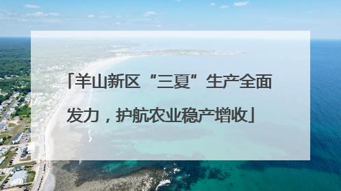 羊山新区“三夏”生产全面发力，护航农业稳产增收