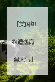 美国纽约遭遇高温天气