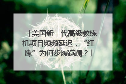 美国新一代高级教练机项目频频延迟，“红鹰”为何步履蹒跚？