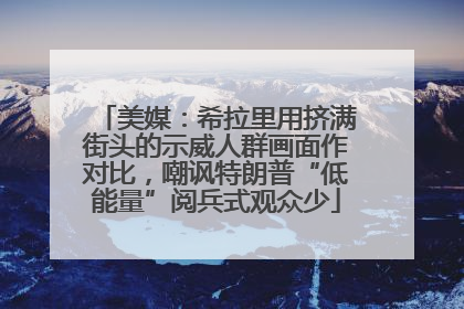 美媒：希拉里用挤满街头的示威人群画面作对比，嘲讽特朗普“低能量”阅兵式观众少