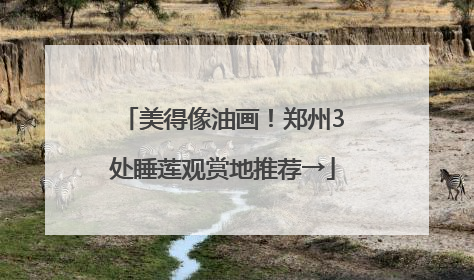 美得像油画！郑州3处睡莲观赏地推荐→