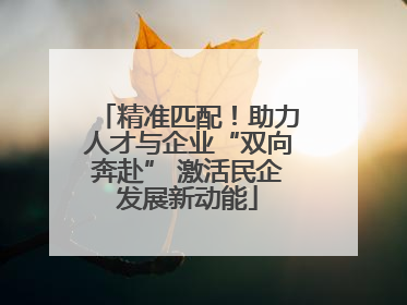 精准匹配！助力人才与企业“双向奔赴” 激活民企发展新动能