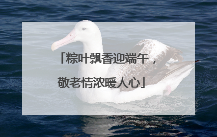 粽叶飘香迎端午，敬老情浓暖人心