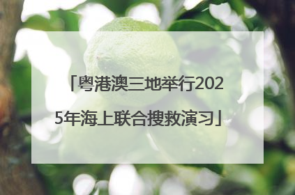 粤港澳三地举行2025年海上联合搜救演习