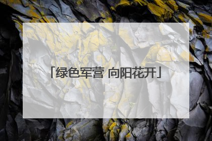 绿色军营 向阳花开