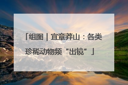 组图｜宜章莽山：各类珍稀动物频“出镜”
