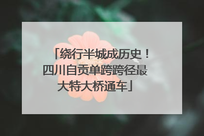绕行半城成历史！四川自贡单跨跨径最大特大桥通车