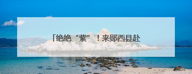 绝绝“紫”！来郧西县赴一场“莫奈花园”的浪漫