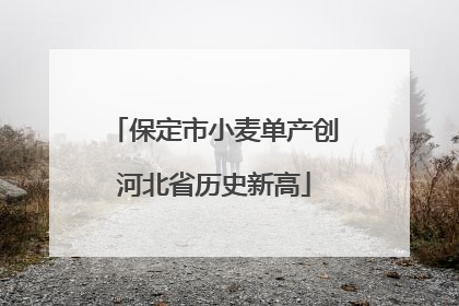 保定市小麦单产创河北省历史新高