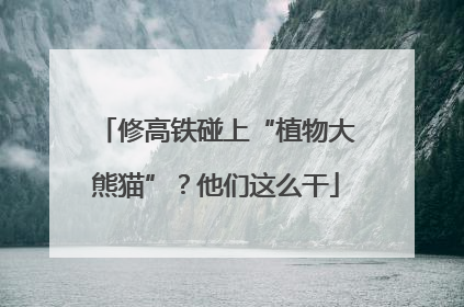 修高铁碰上“植物大熊猫”？他们这么干