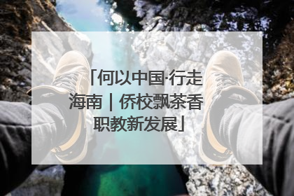 何以中国·行走海南｜侨校飘茶香 职教新发展