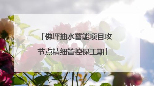 佛坪抽水蓄能项目攻节点精细管控保工期