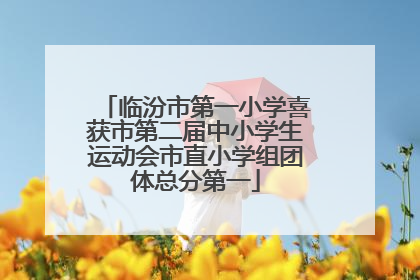 临汾市第一小学喜获市第二届中小学生运动会市直小学组团体总分第一