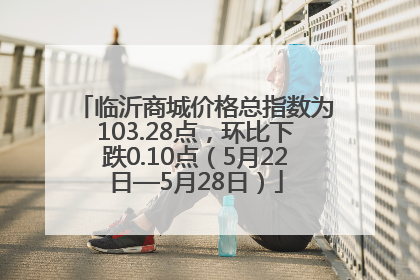 临沂商城价格总指数为103.28点，环比下跌0.10点（5月22日—5月28日）