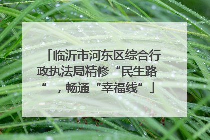临沂市河东区综合行政执法局精修“民生路”，畅通“幸福线”
