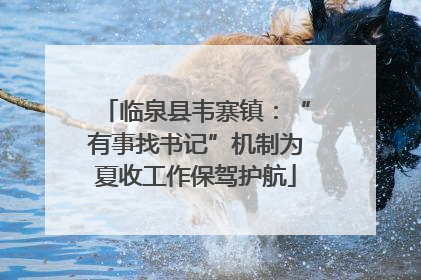 临泉县韦寨镇：“有事找书记”机制为夏收工作保驾护航