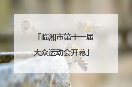 临湘市第十一届大众运动会开幕