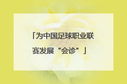 为中国足球职业联赛发展“会诊”