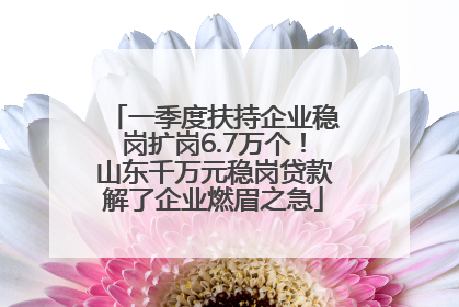 一季度扶持企业稳岗扩岗6.7万个！山东千万元稳岗贷款解了企业燃眉之急