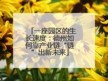 一座园区的生长速度：德州如何靠产业链“链”出新未来
