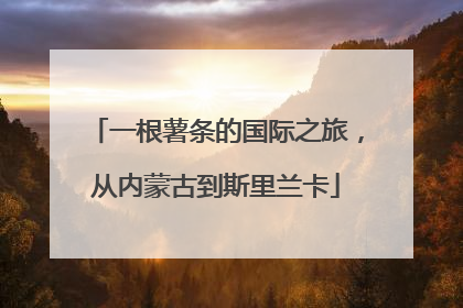 一根薯条的国际之旅，从内蒙古到斯里兰卡