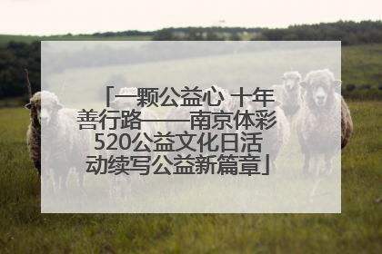 一颗公益心 十年善行路——南京体彩520公益文化日活动续写公益新篇章