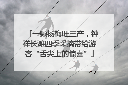 一颗杨梅旺三产，钟祥长滩四季采摘带给游客“舌尖上的惊喜”