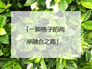 一颗桃子的两岸融合之路