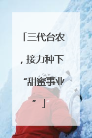 三代台农，接力种下“甜蜜事业”
