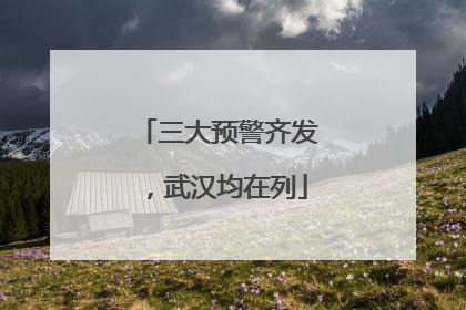 三大预警齐发，武汉均在列