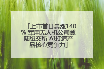 上市首日暴涨140% 军用无人机公司登陆纽交所 AI打造产品核心竞争力