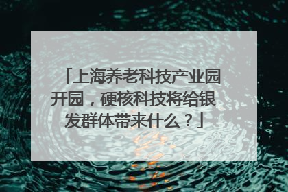 上海养老科技产业园开园，硬核科技将给银发群体带来什么？