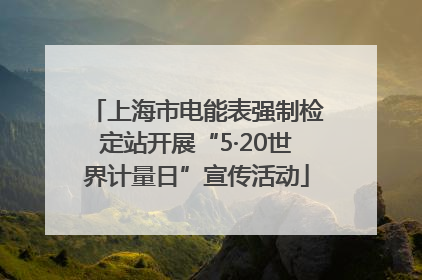 上海市电能表强制检定站开展“5·20世界计量日”宣传活动