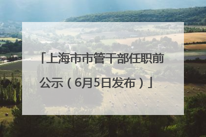上海市市管干部任职前公示（6月5日发布）
